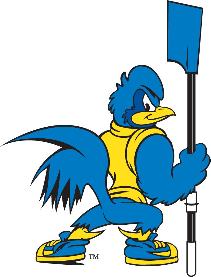Delaware Blue Hens 1999-2009 Mascot Logo t shirts iron on transfers